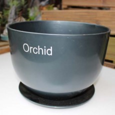 orchid-블랙