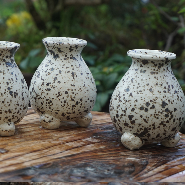 토어다육미니콩분0502-18