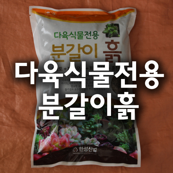 다육전용용토 분갈이흙