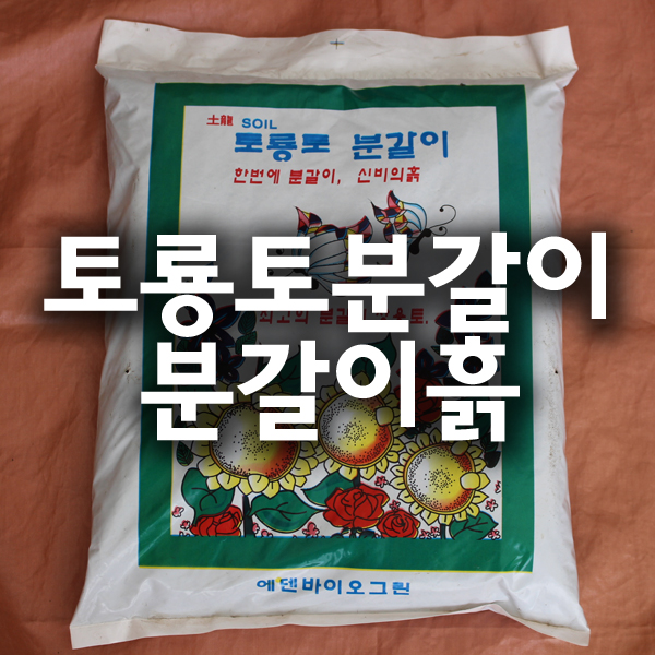 분갈이흙 토룡토분갈이