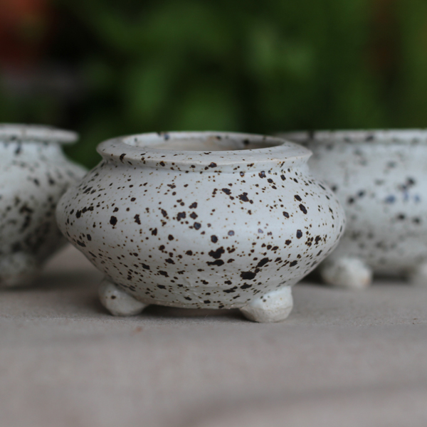 토어엄지분, 수제다육화분 , 잎꽃이분  80c