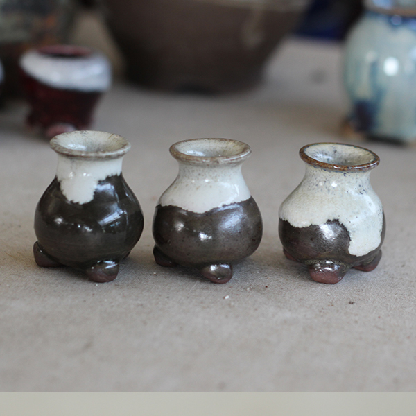 토어다육 수제콩분186