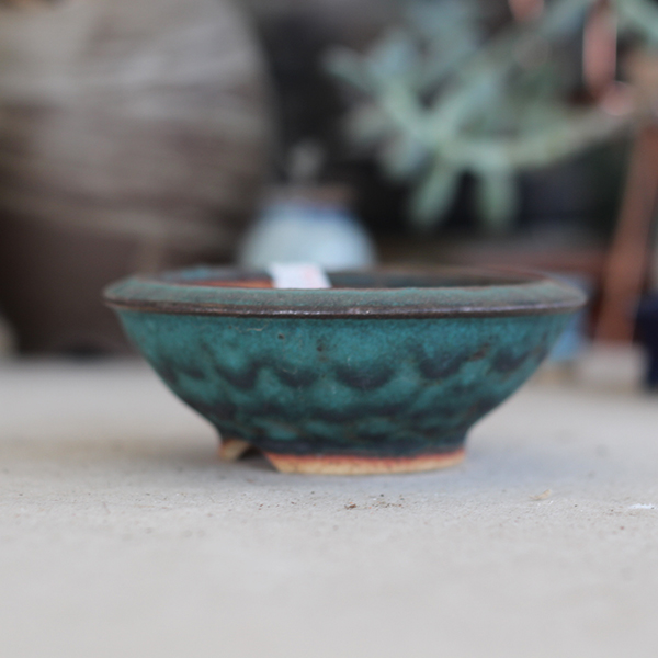 토어다육수제화분188