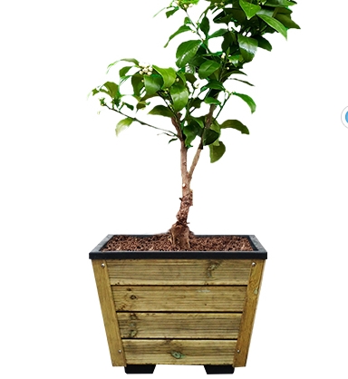 Pe정사각화분/500*400/고급화분/목재분/도로화분/자연색/주문생산/택배비별도