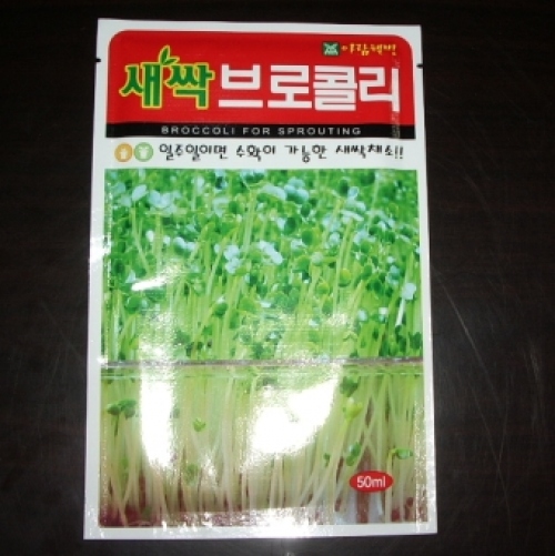 브로콜리새싹씨
