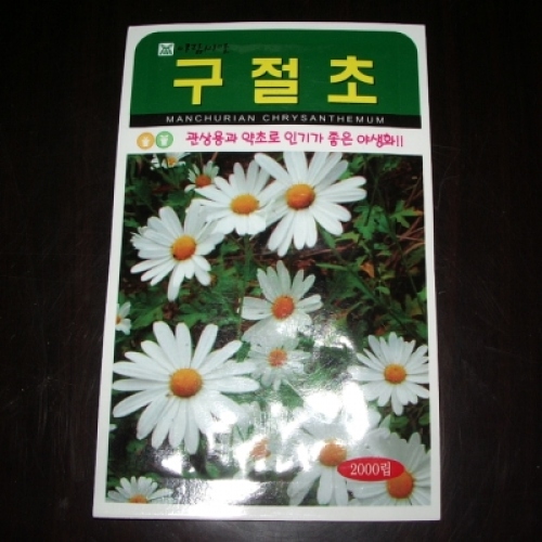 구철초