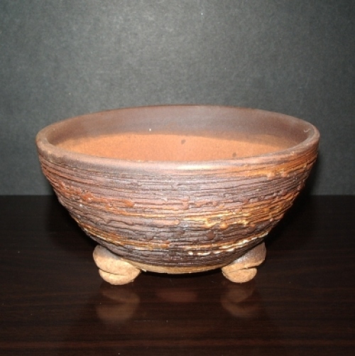 골친삼발이P-2(다육,야생화분)