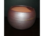 메론단지K-79(야생,다육분)