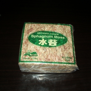수태/75g/칠레산