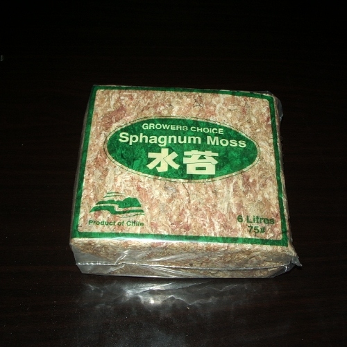 수태/75g/칠레산