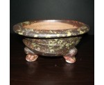 .야생삼발이(소)S1-59