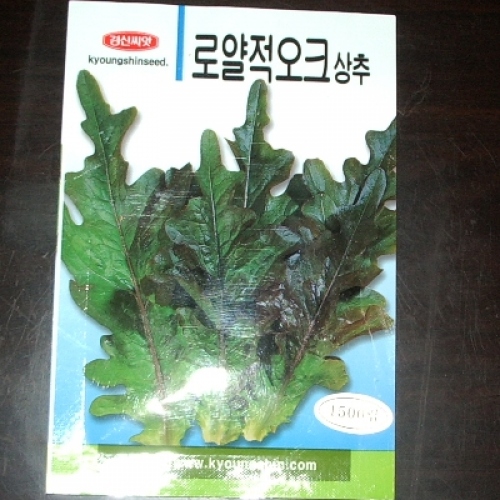 로얄적오크상추