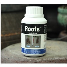 뿌리건강을 위한 발근촉진제 병해예방