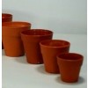 초미니4,5cm~7,5cm/10개묶움/선택